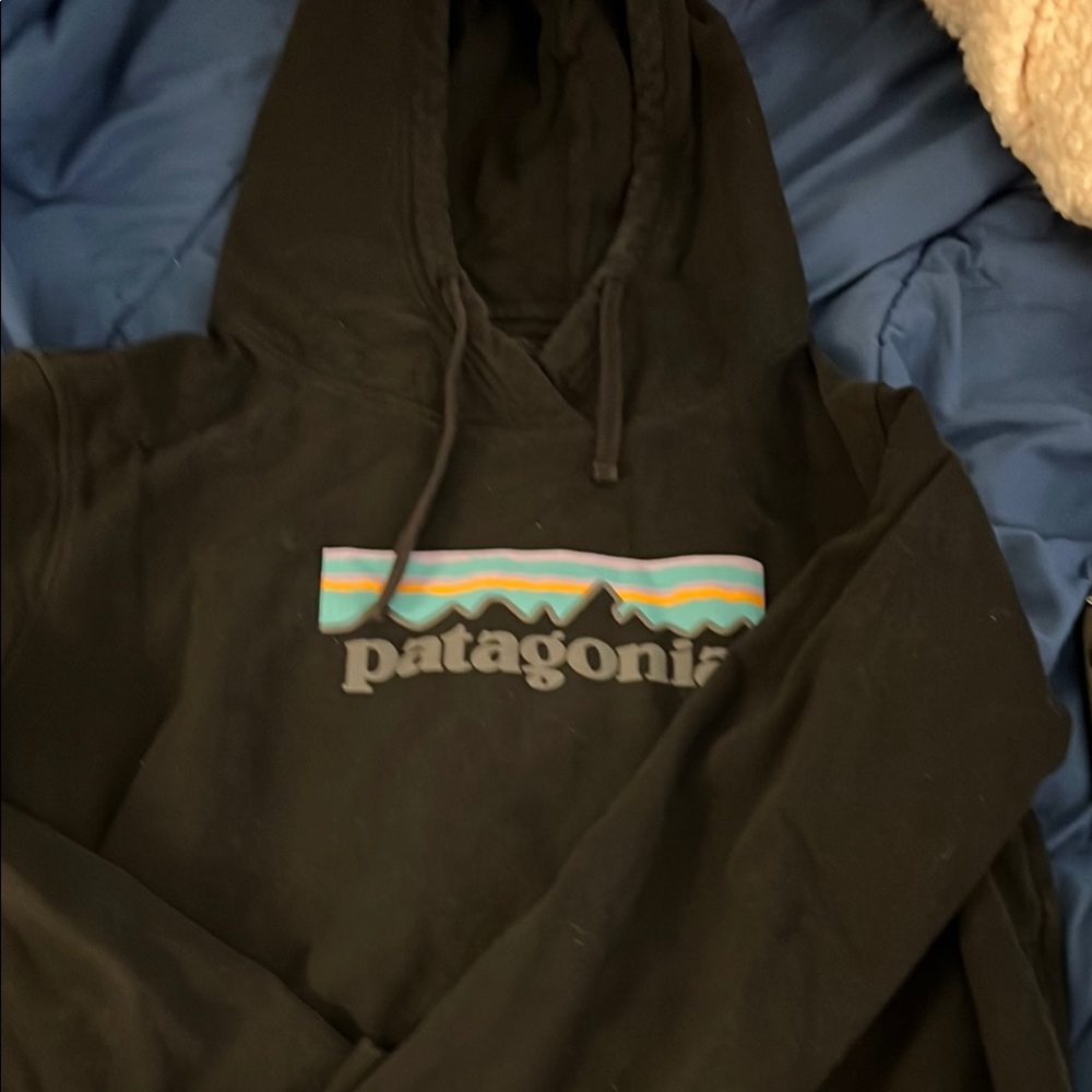 Patagonia Black Hoodie Sweater